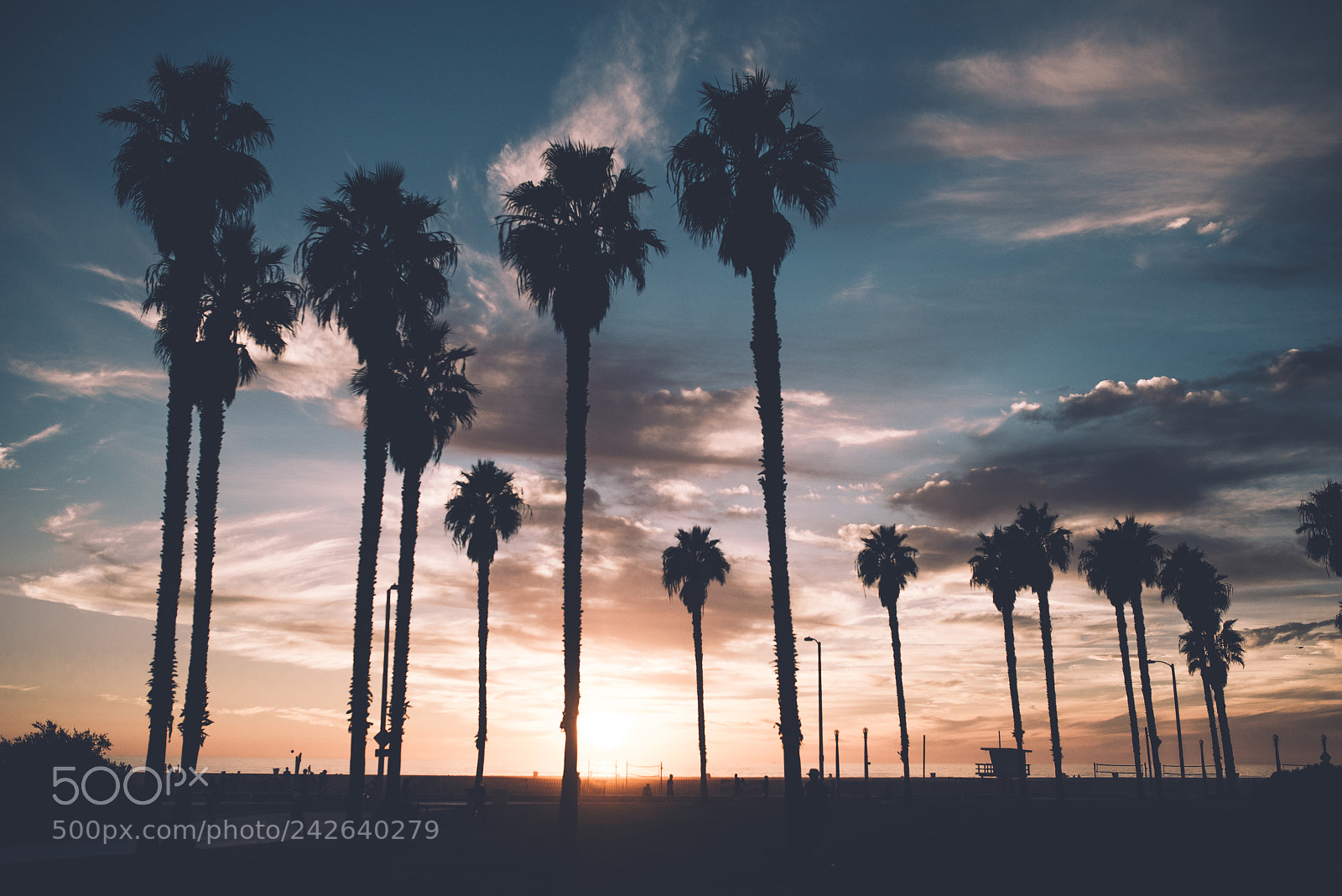 Nikon D800 sample photo. Santa monica, california photography
