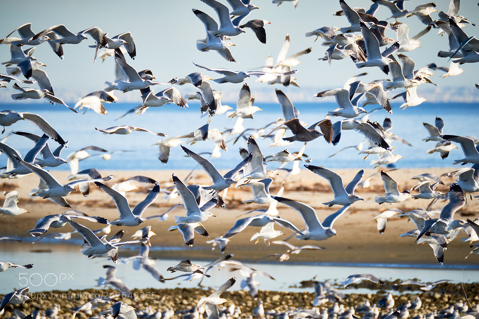 Fujifilm X-T2 sample photo. Malibu lagoon photography