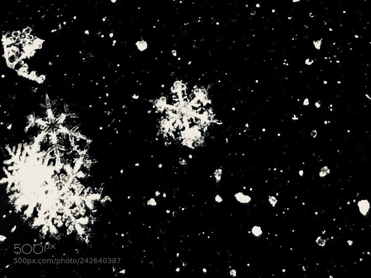 Apple iPhone 7 Plus sample photo. Snowflake universe photography