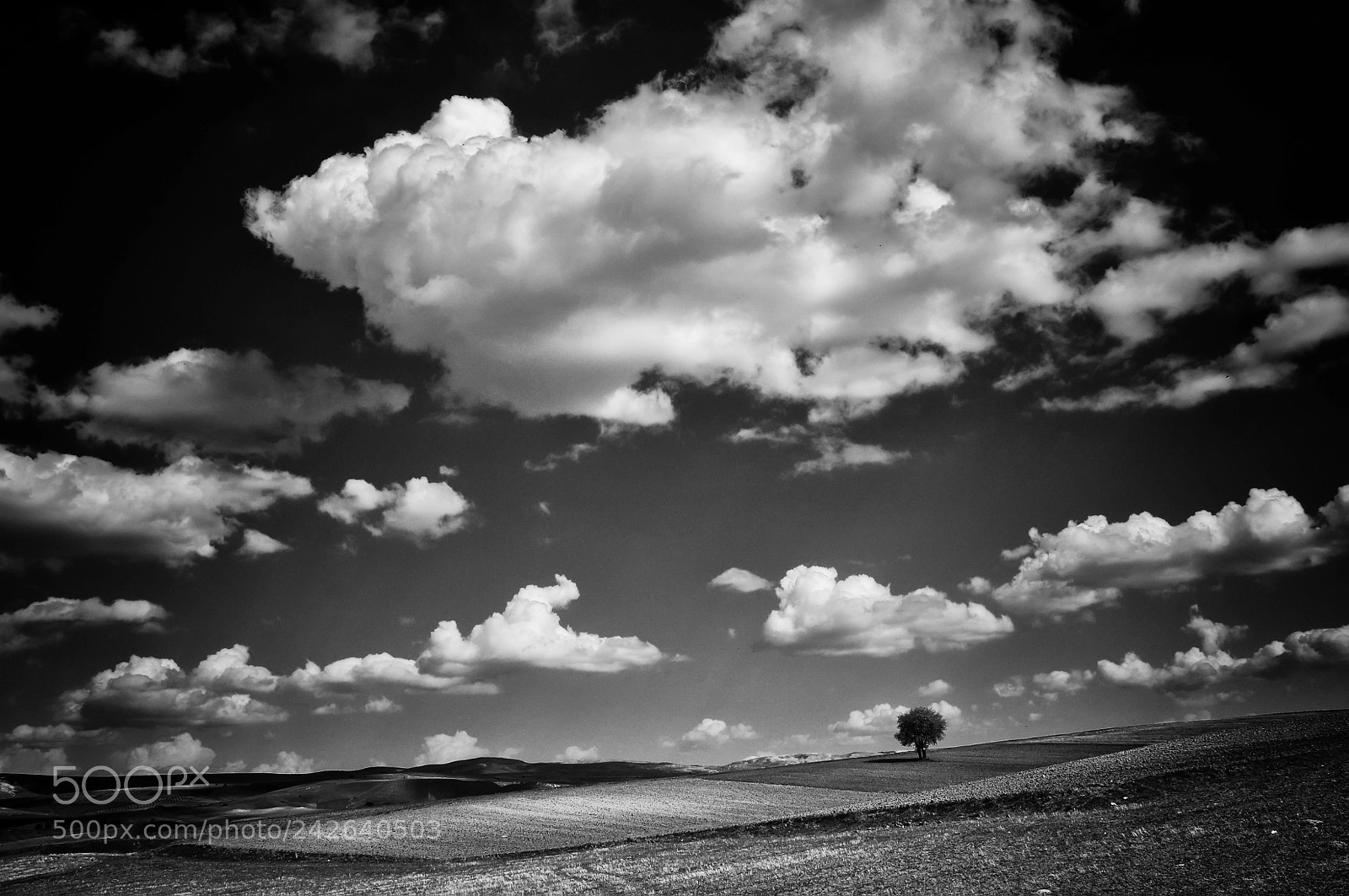Nikon D5000 sample photo. Afyon photography