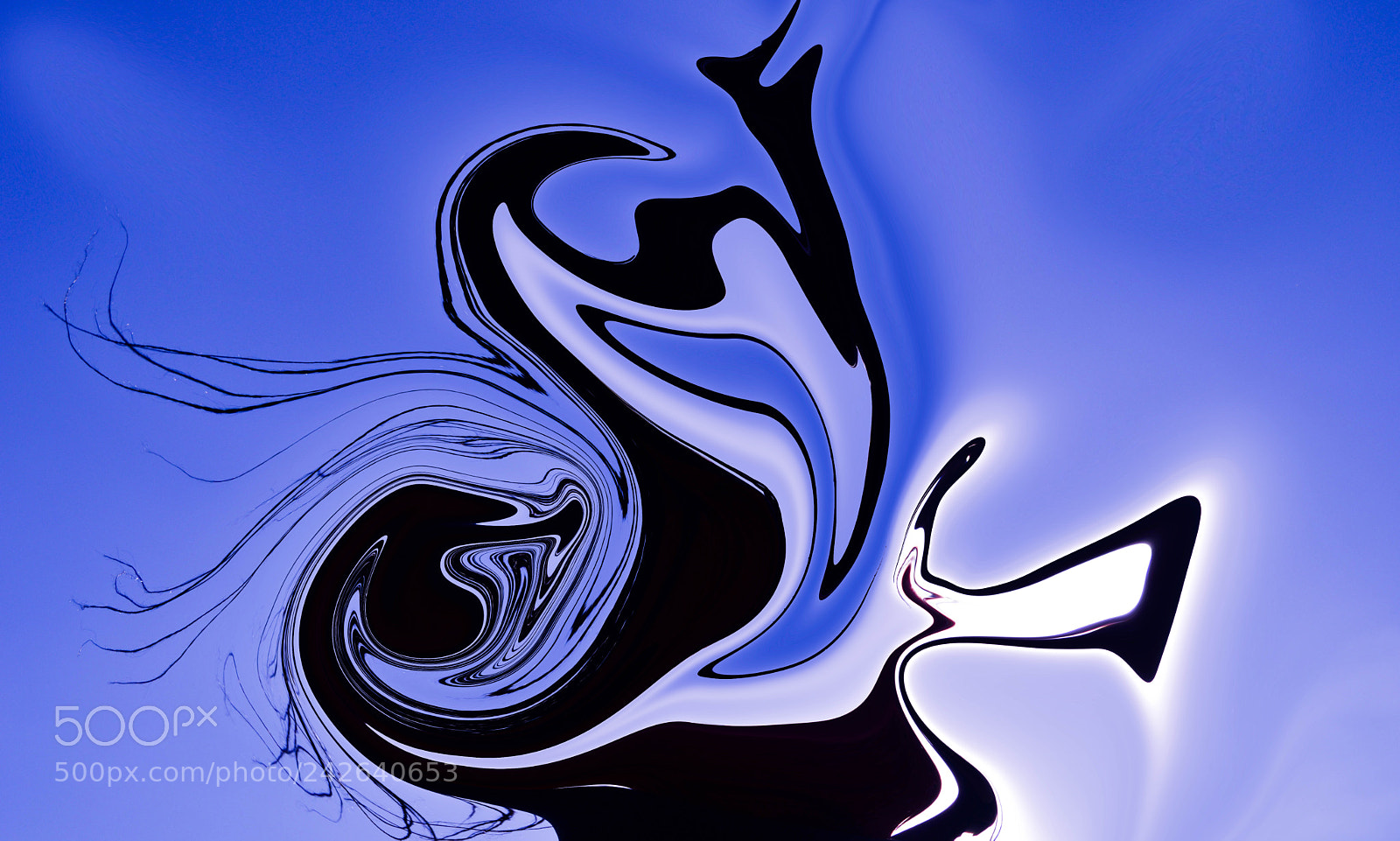 Nikon D3200 sample photo. Black spirit came out photography