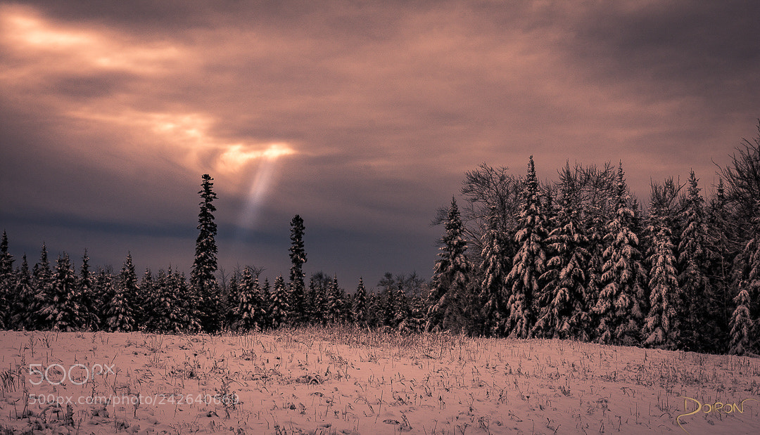 Nikon D7200 sample photo. Winter scene photography