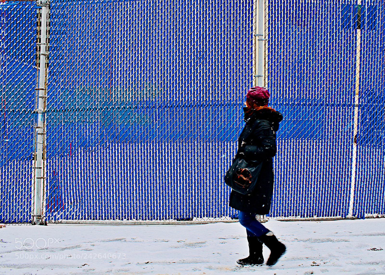 Canon EOS 100D (EOS Rebel SL1 / EOS Kiss X7) sample photo. Blue fence photography