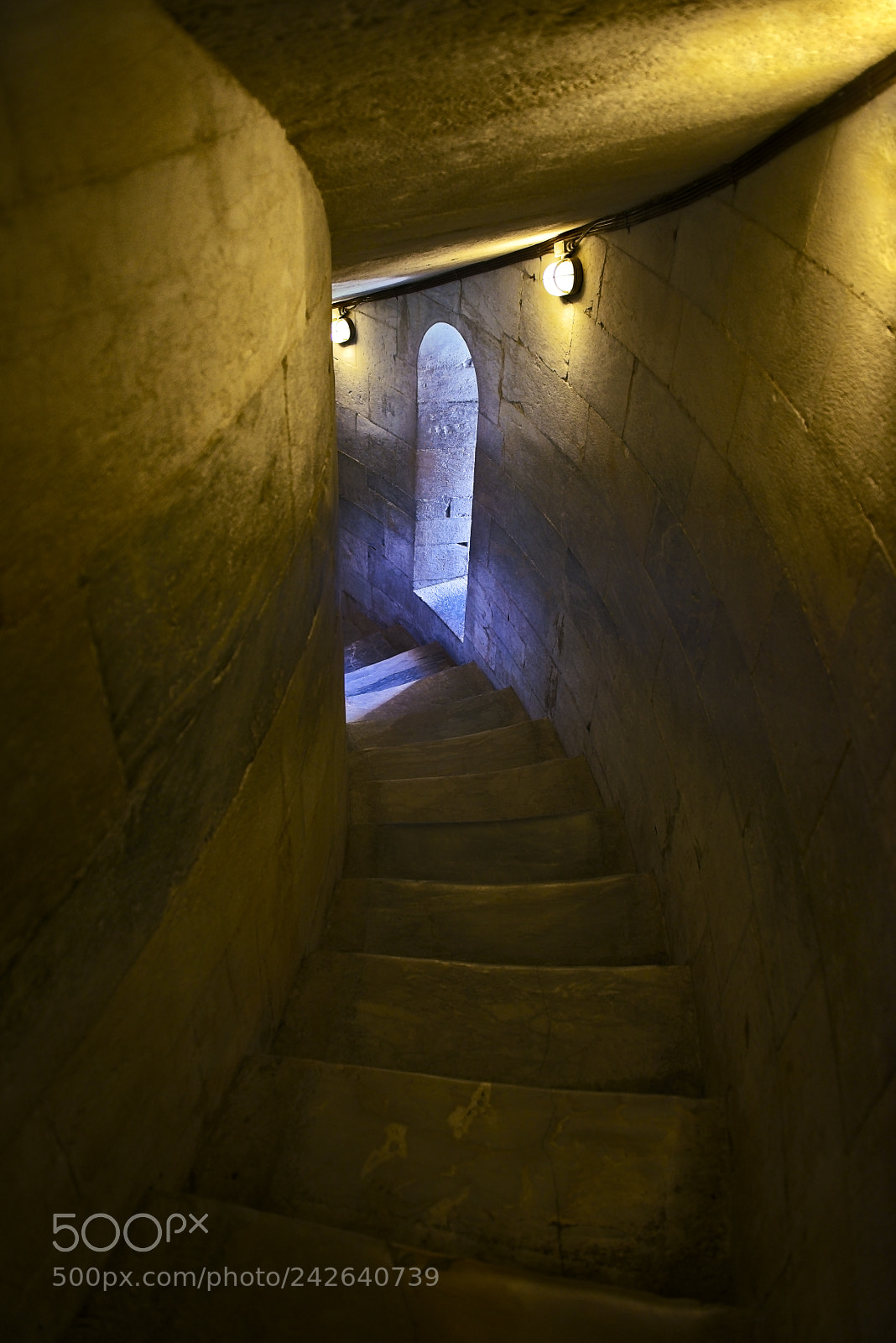 Nikon D800 sample photo. Stairwell, leaning tower of photography