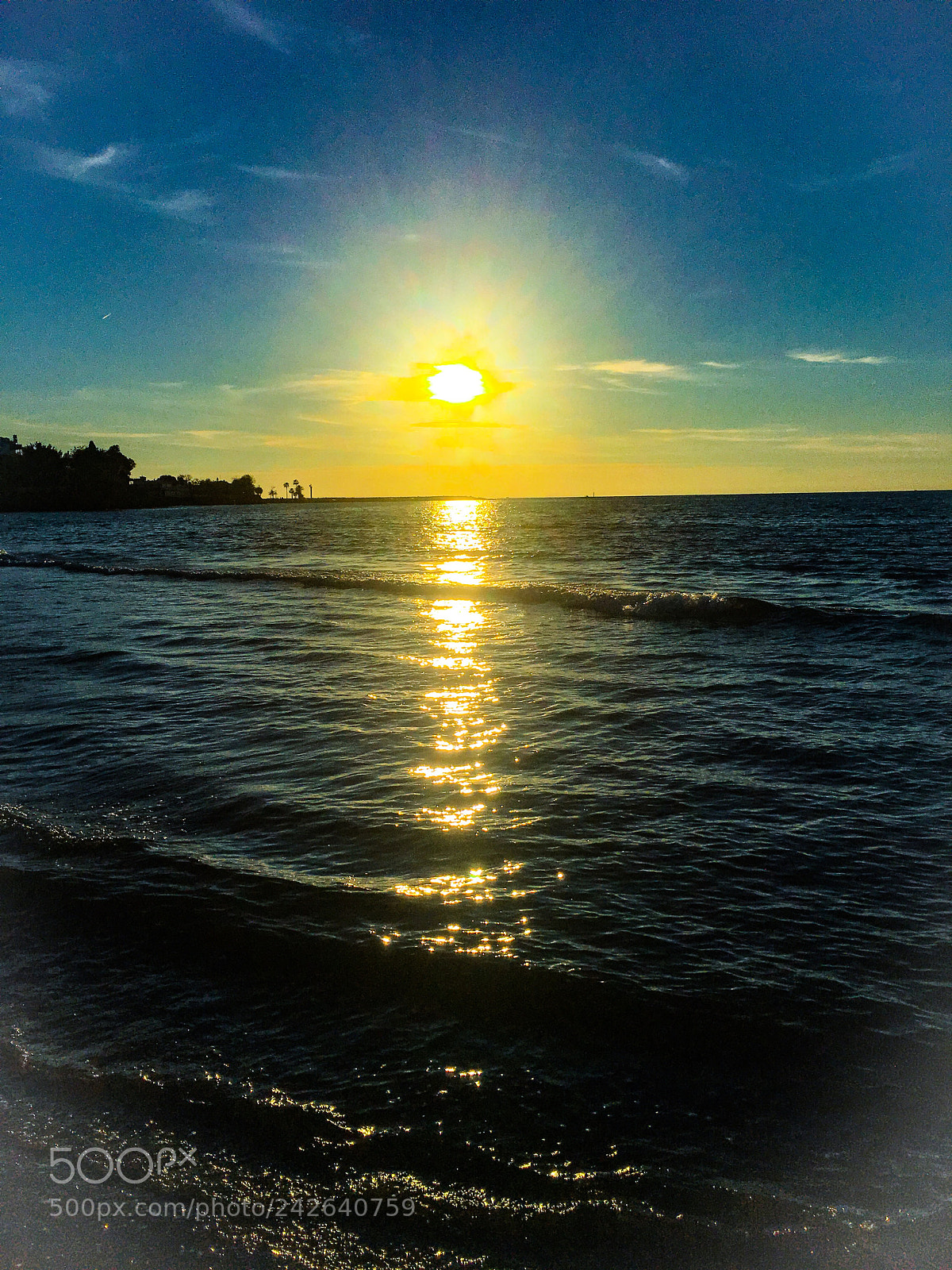 Apple iPhone 6s sample photo. Untitled photography