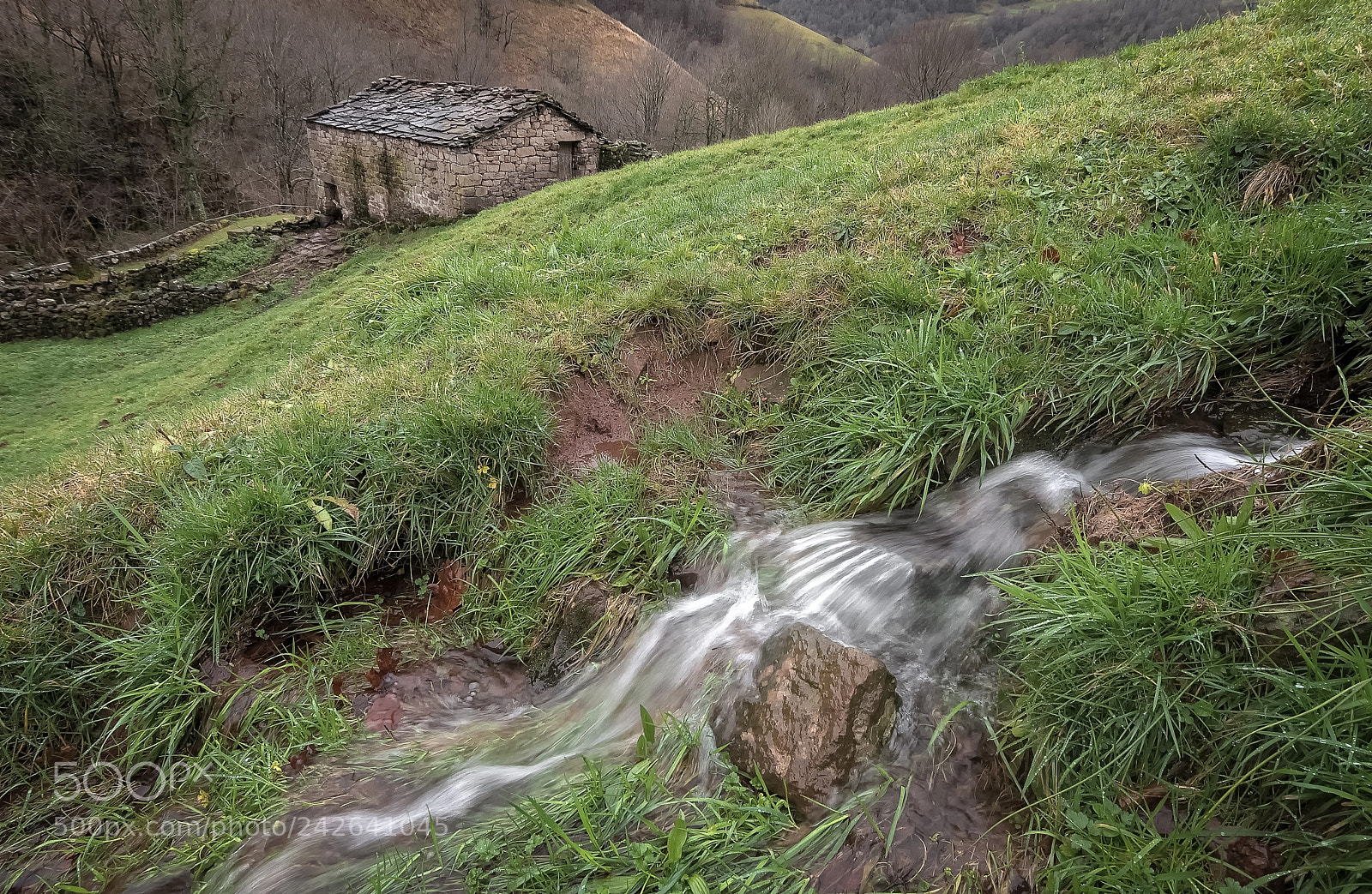 Nikon D300S sample photo. Agua por doquier. photography
