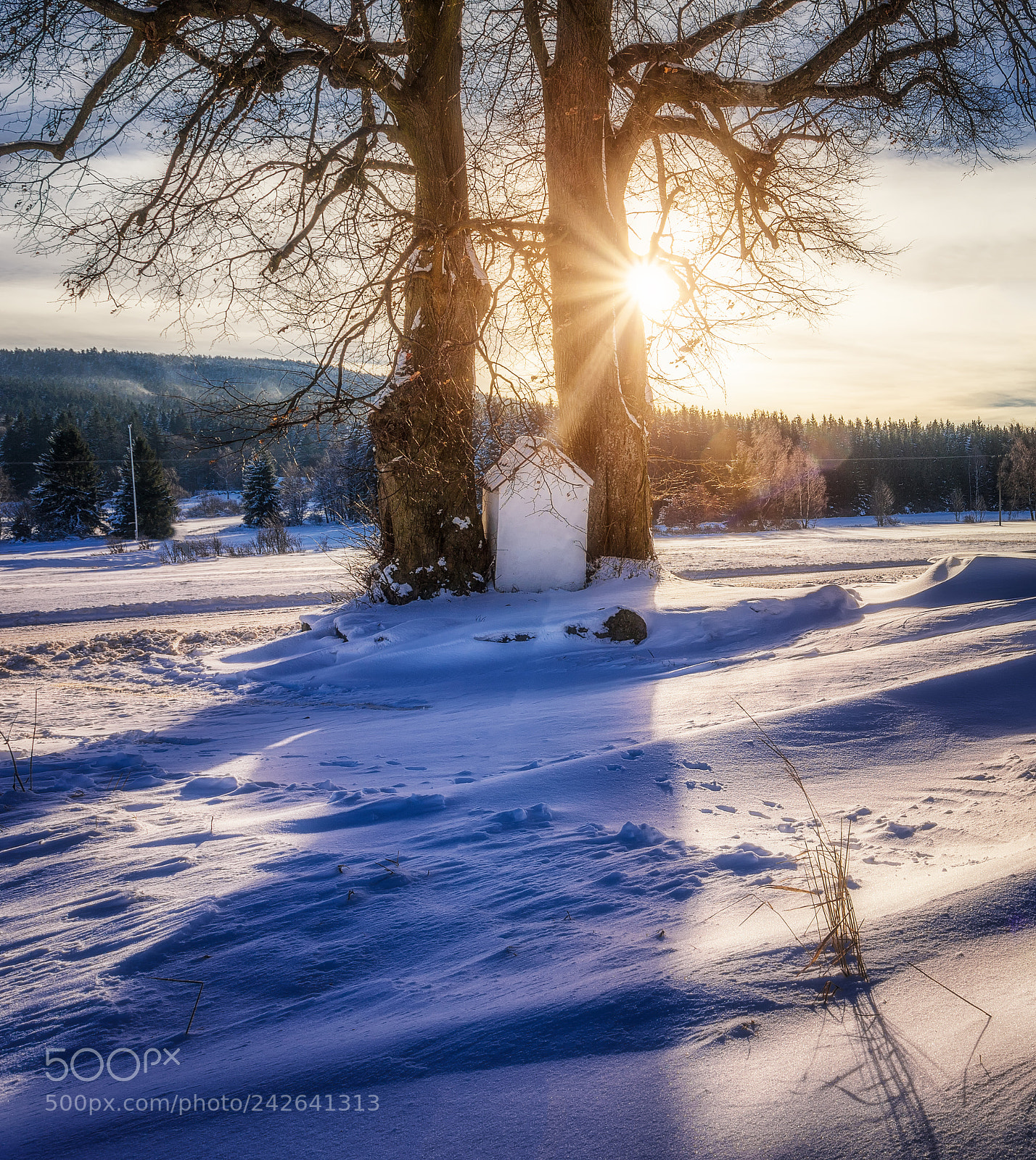 Canon EOS 6D sample photo. -- winter time -- photography