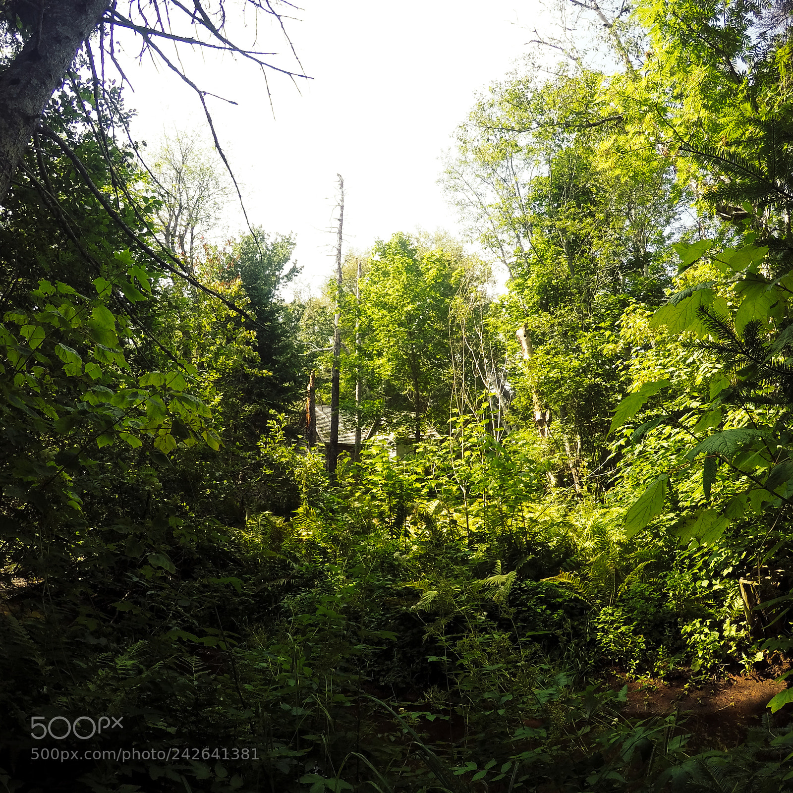 GoPro HERO4 Silver sample photo. P.e.i. landscapes 1 photography