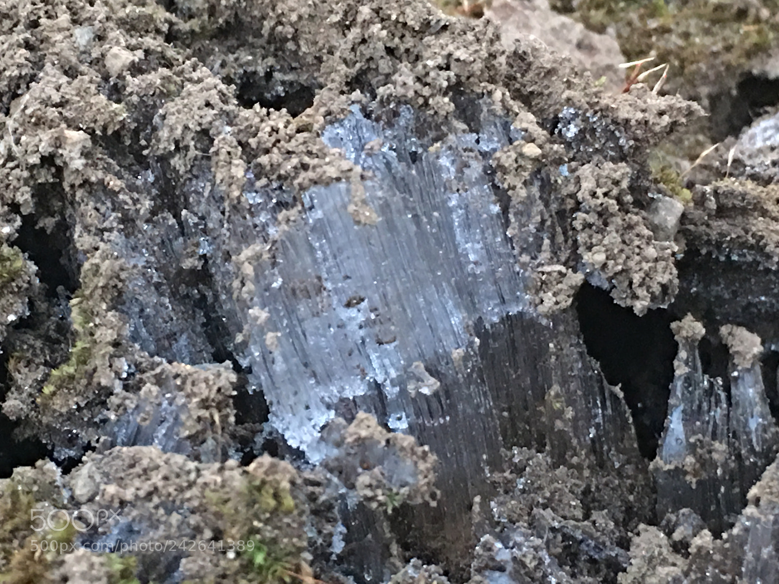 Apple iPhone 6s Plus sample photo. Winter2017 flostcolumn photography