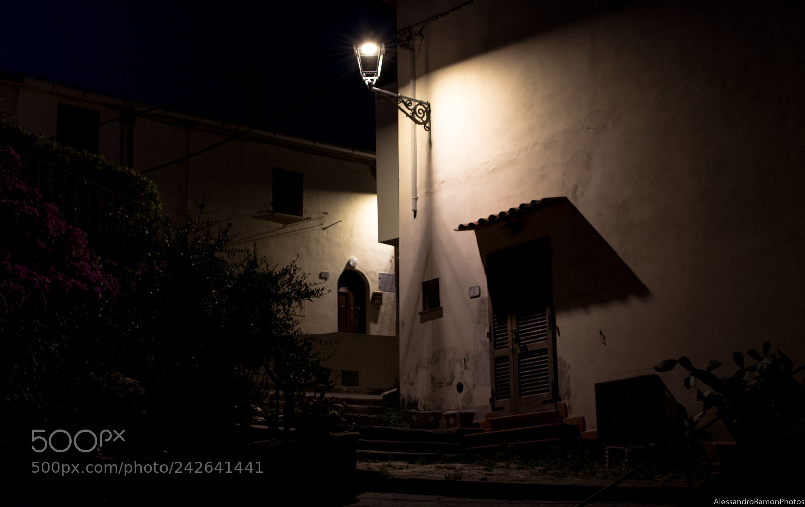 Nikon D5500 sample photo. Purple night photography