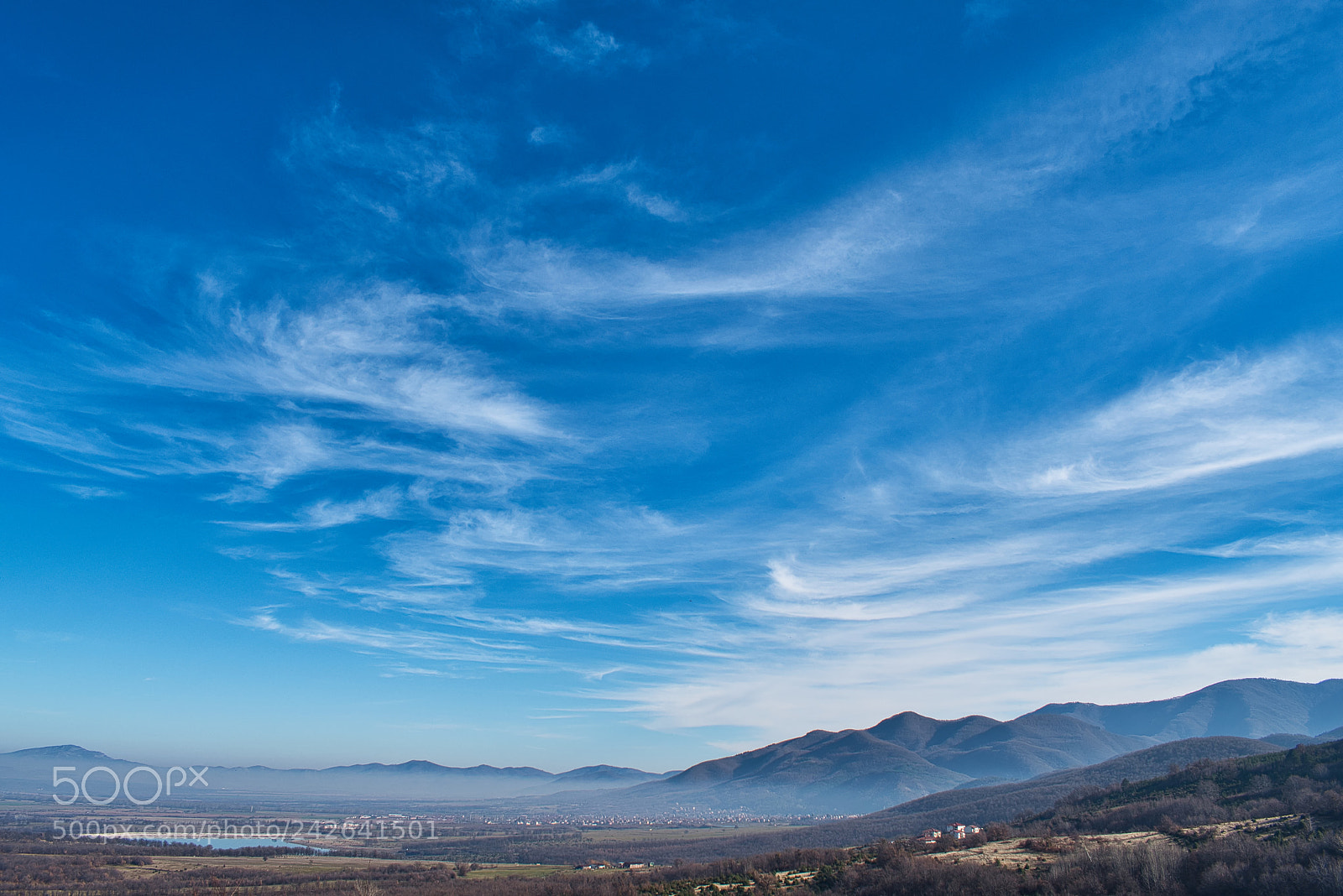 Nikon D5600 sample photo. Winter colours in south photography