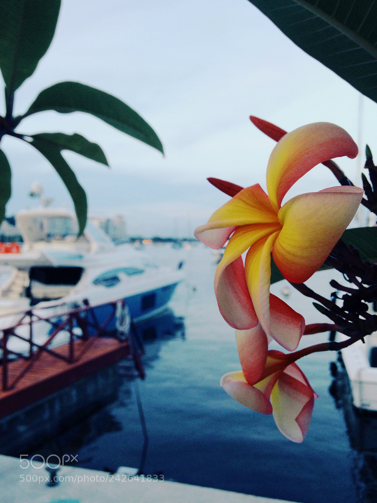 Apple iPhone 5 sample photo. Earth and water photography