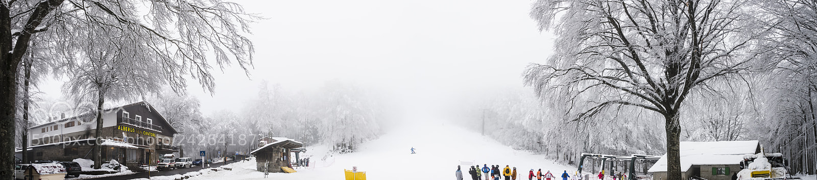 Nikon D800 sample photo. Winter photography