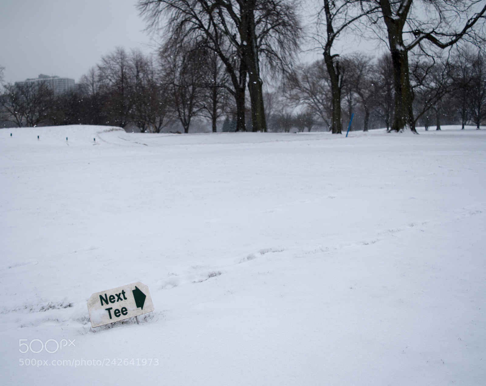 Nikon D5500 sample photo. Winter tee time photography