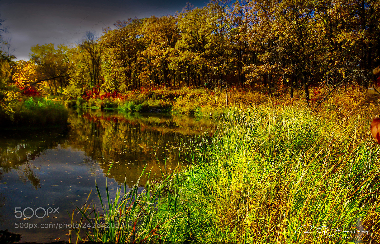 Pentax K200D sample photo. Warm fall day photography