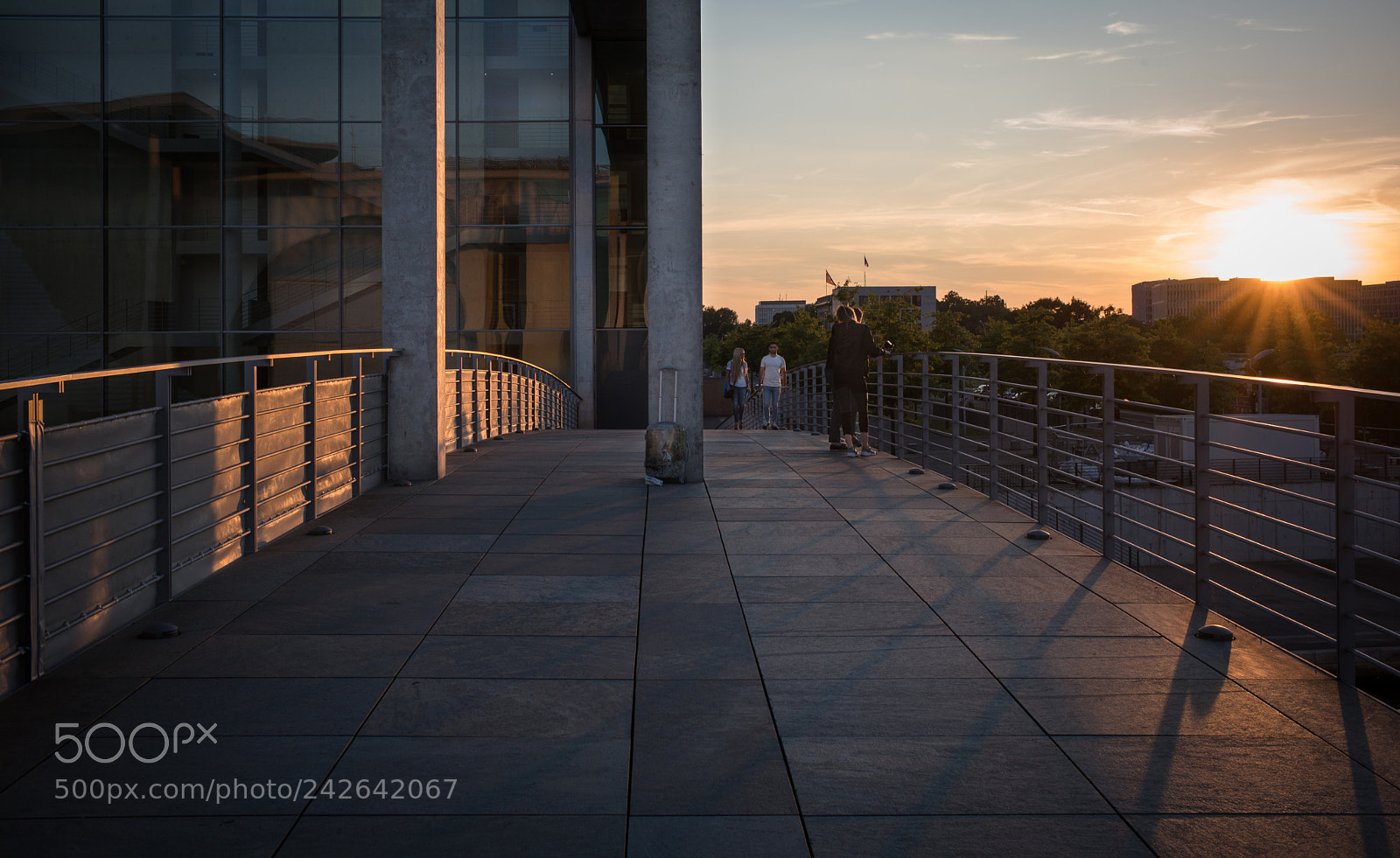 Leica M (Typ 240) sample photo. 35654008314.jpg photography