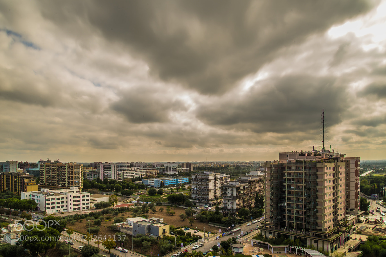 Nikon D610 sample photo. Bari goes out 2 photography