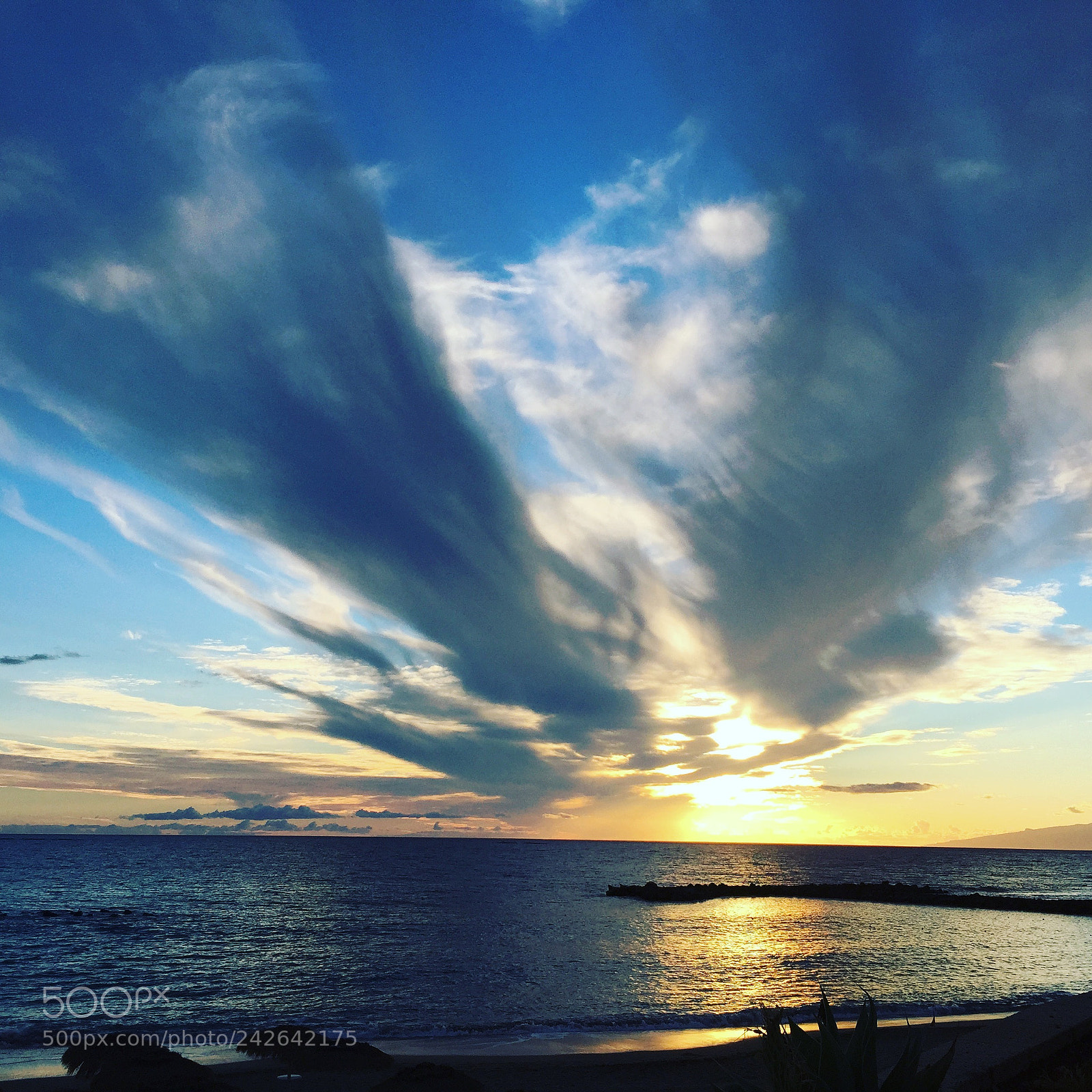 Apple iPhone 6 sample photo. Tenerife’ s angel photography