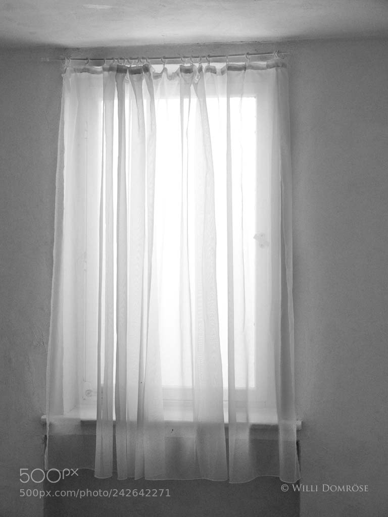 Olympus OM-D E-M1 Mark II sample photo. Window photography