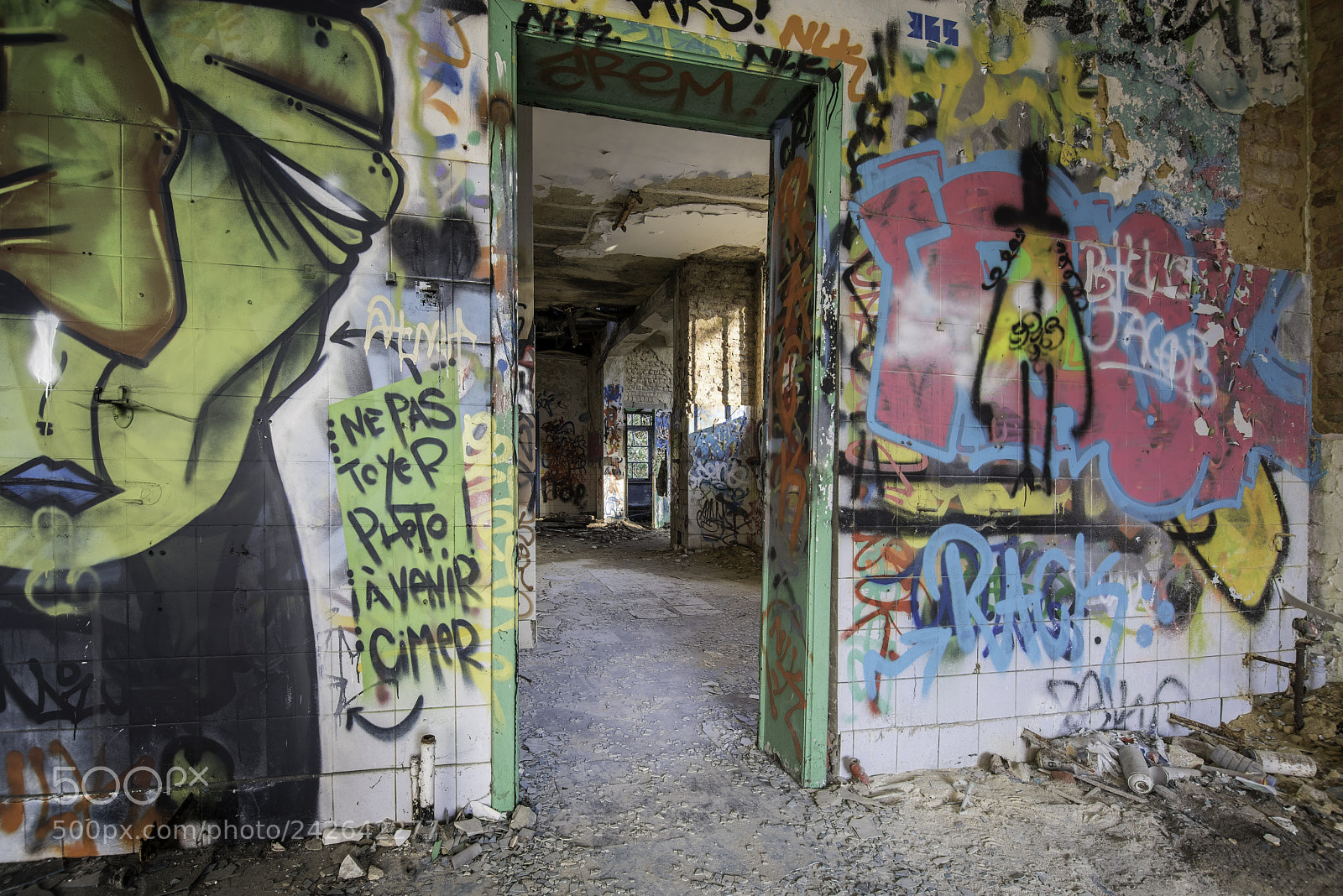 Nikon D810 sample photo. Doorway photography
