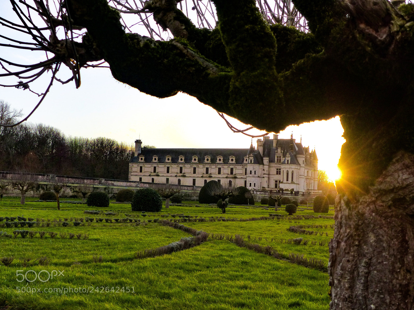 Panasonic Lumix DMC-FZ200 sample photo. Château de chenonceau photography