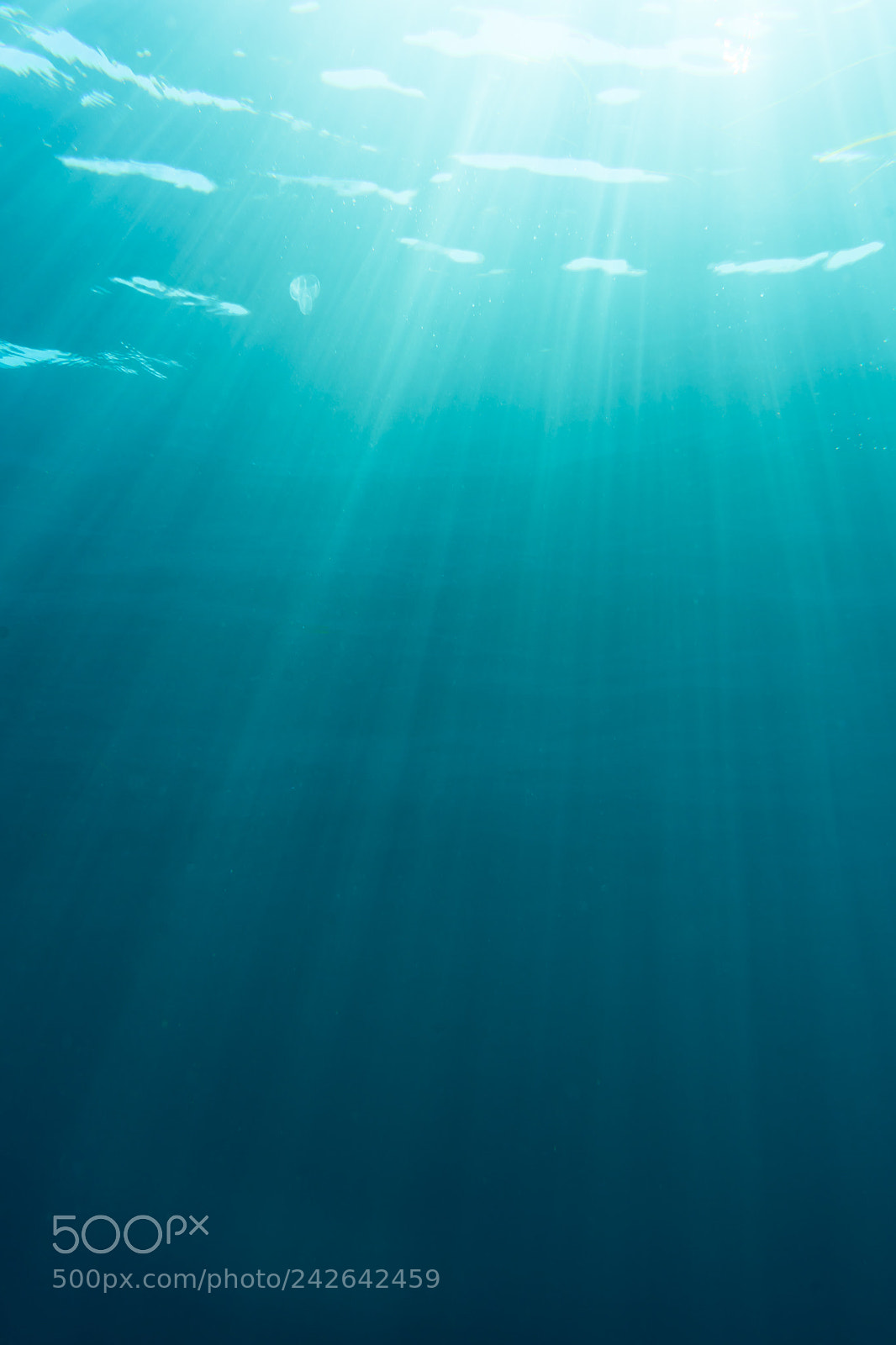 Sony a7 II sample photo. Underwater sunlight photography