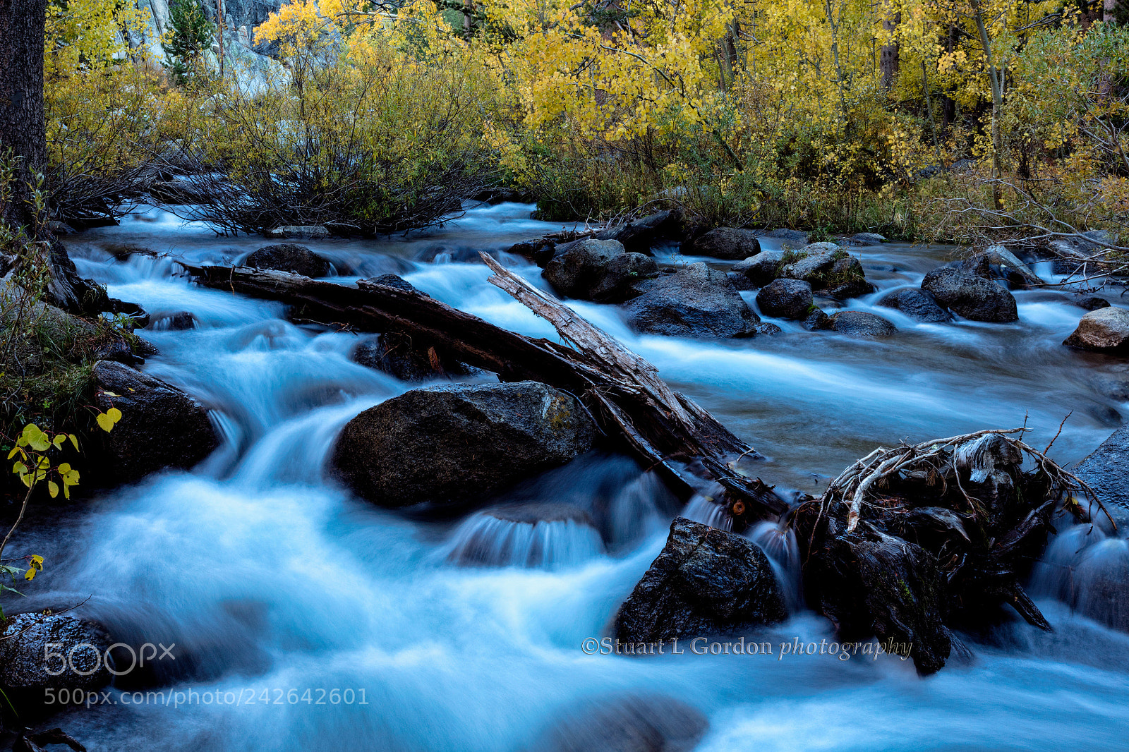 Canon EOS 5DS R sample photo. Autumn on bishop creek photography