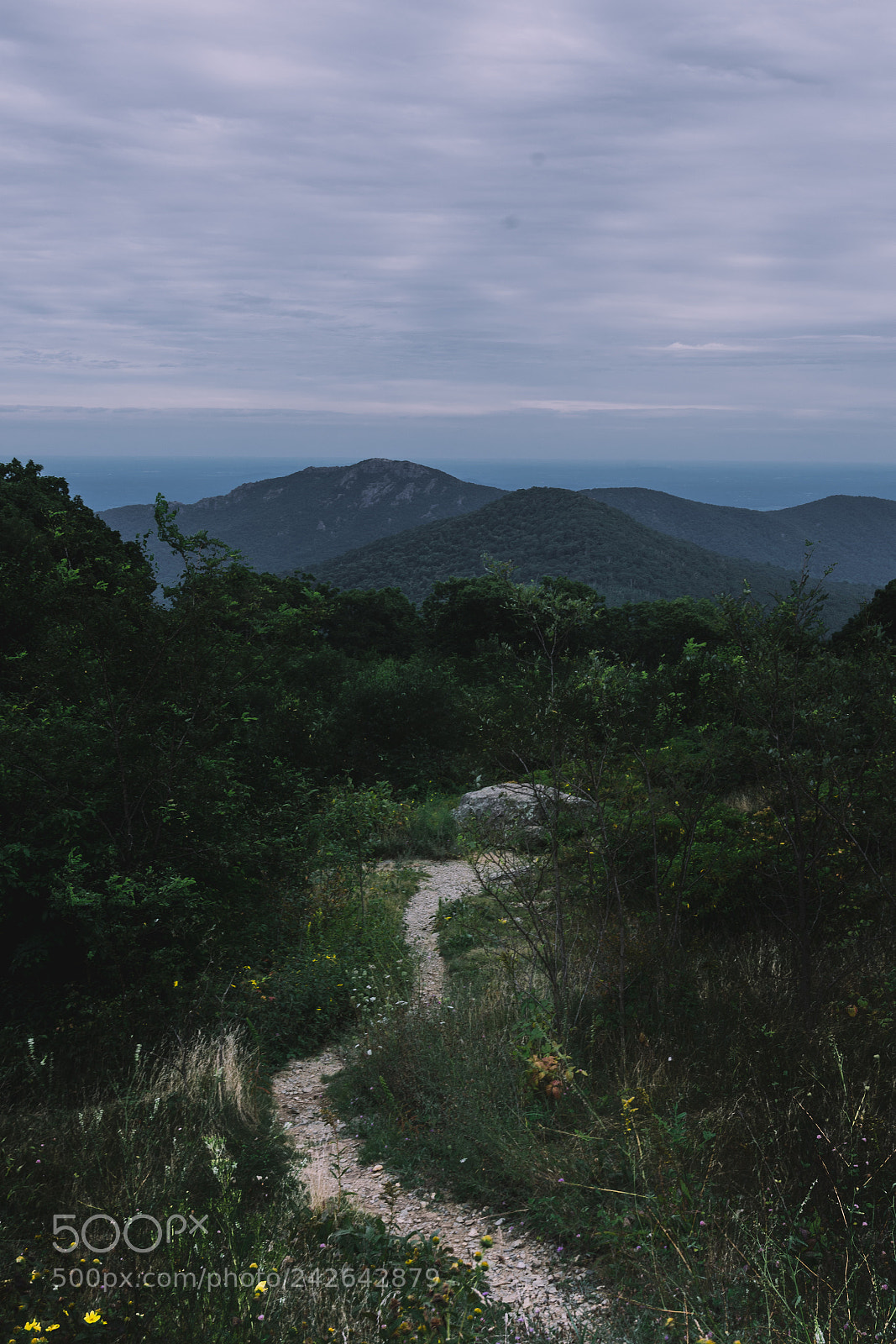 Nikon D7200 sample photo. Lost photography