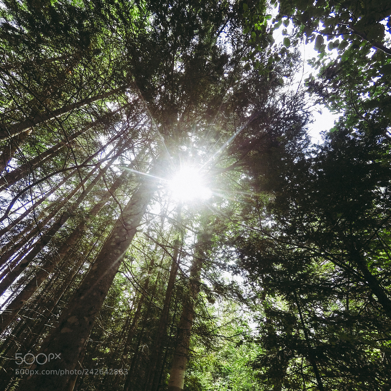GoPro HERO4 Silver sample photo. P.e.i. landscapes 2 photography