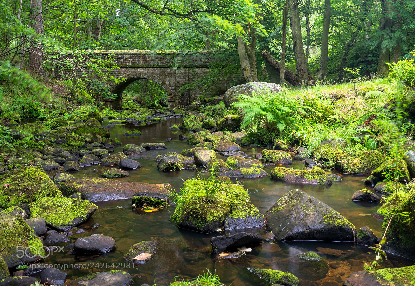 Sony a7 II sample photo. Wyming brook photography