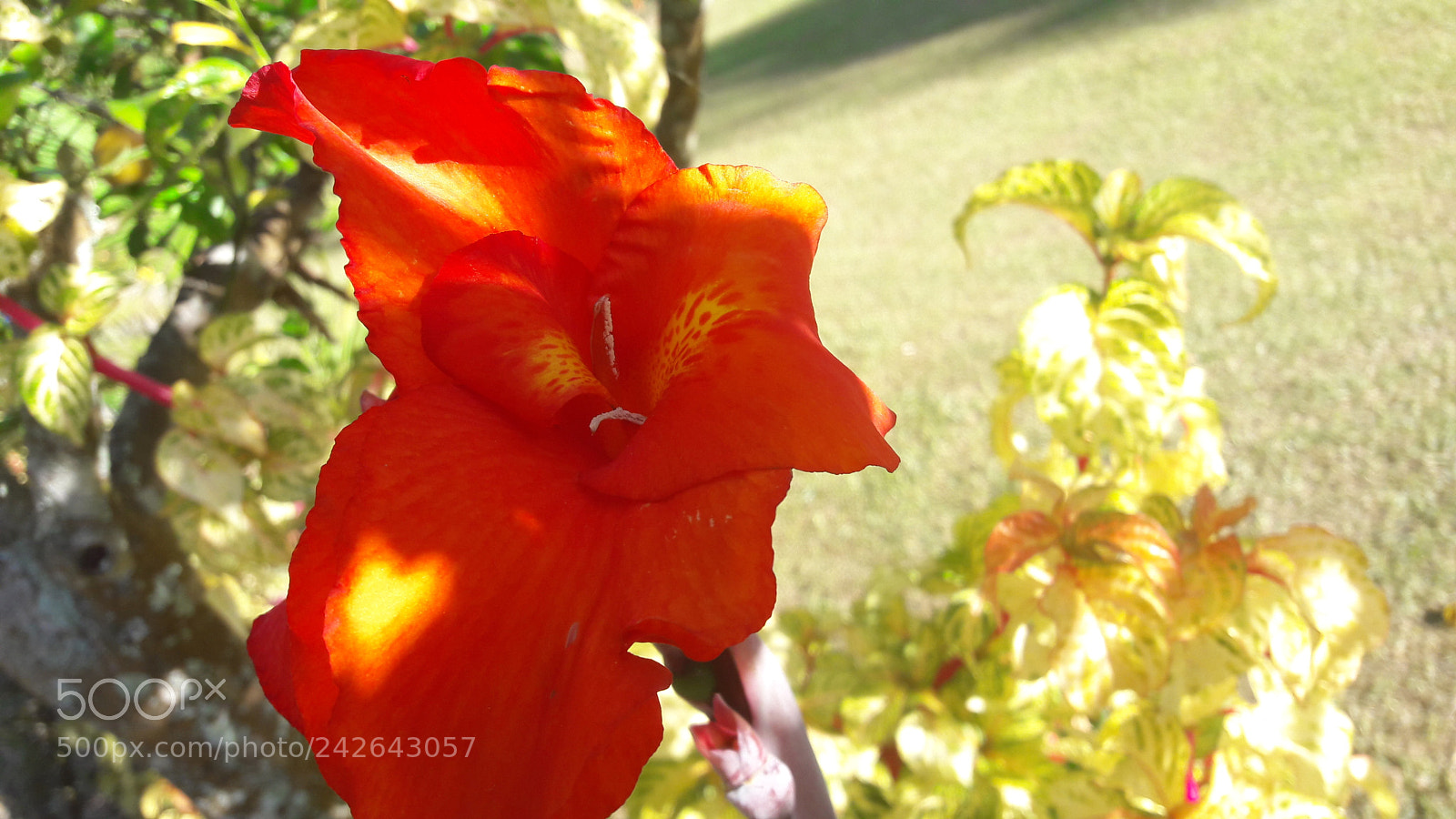 Samsung Galaxy A5(2016) sample photo. 20170530_163630.jpg photography