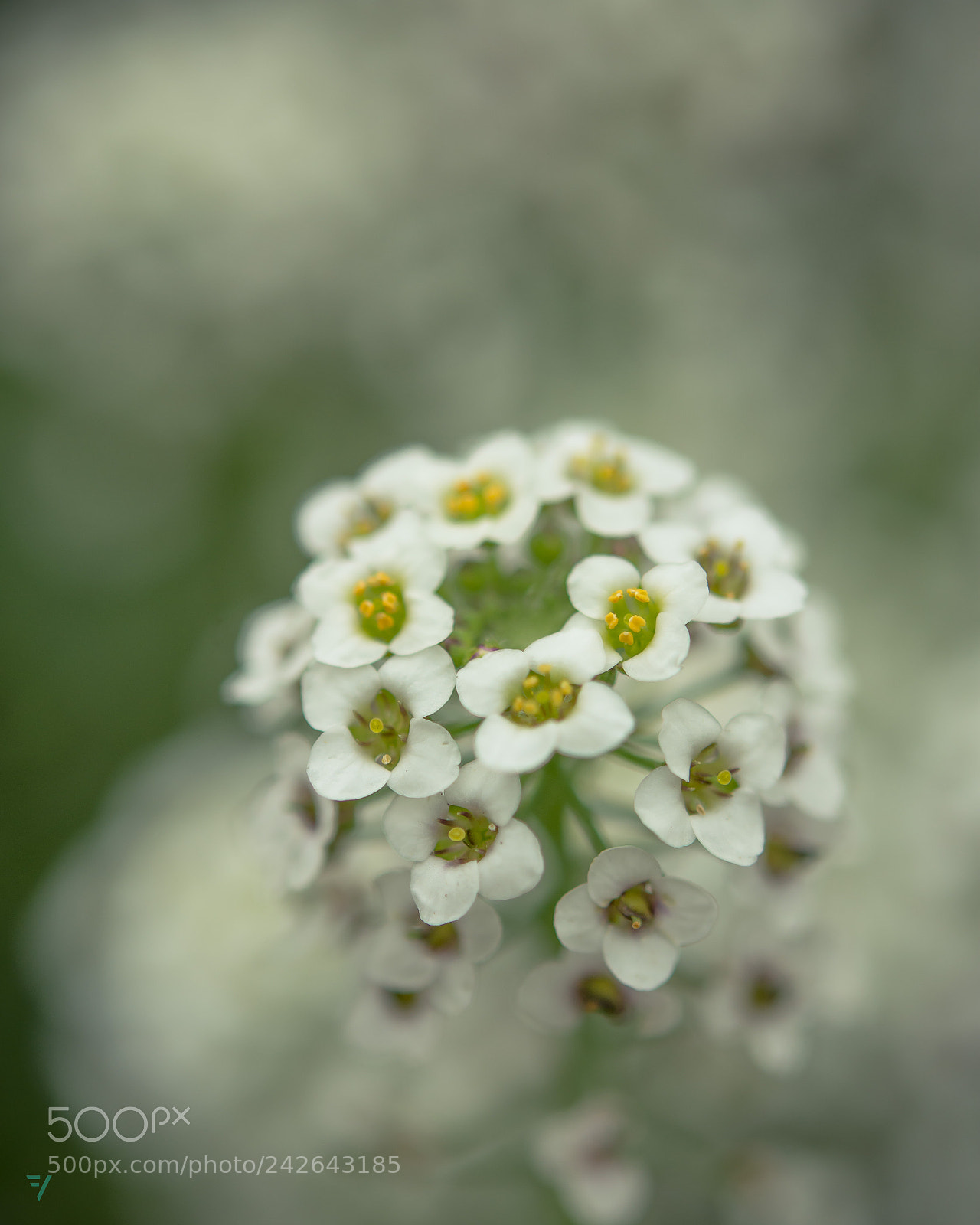 Nikon D7200 sample photo. Untitled photography