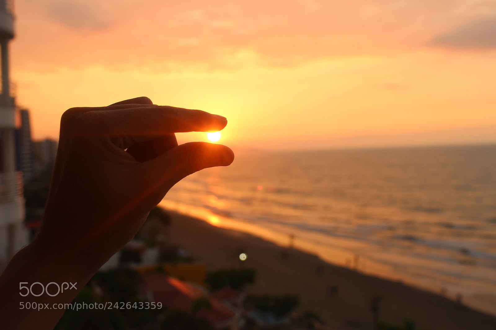 Canon EOS 100D (EOS Rebel SL1 / EOS Kiss X7) sample photo. Con el sol en photography