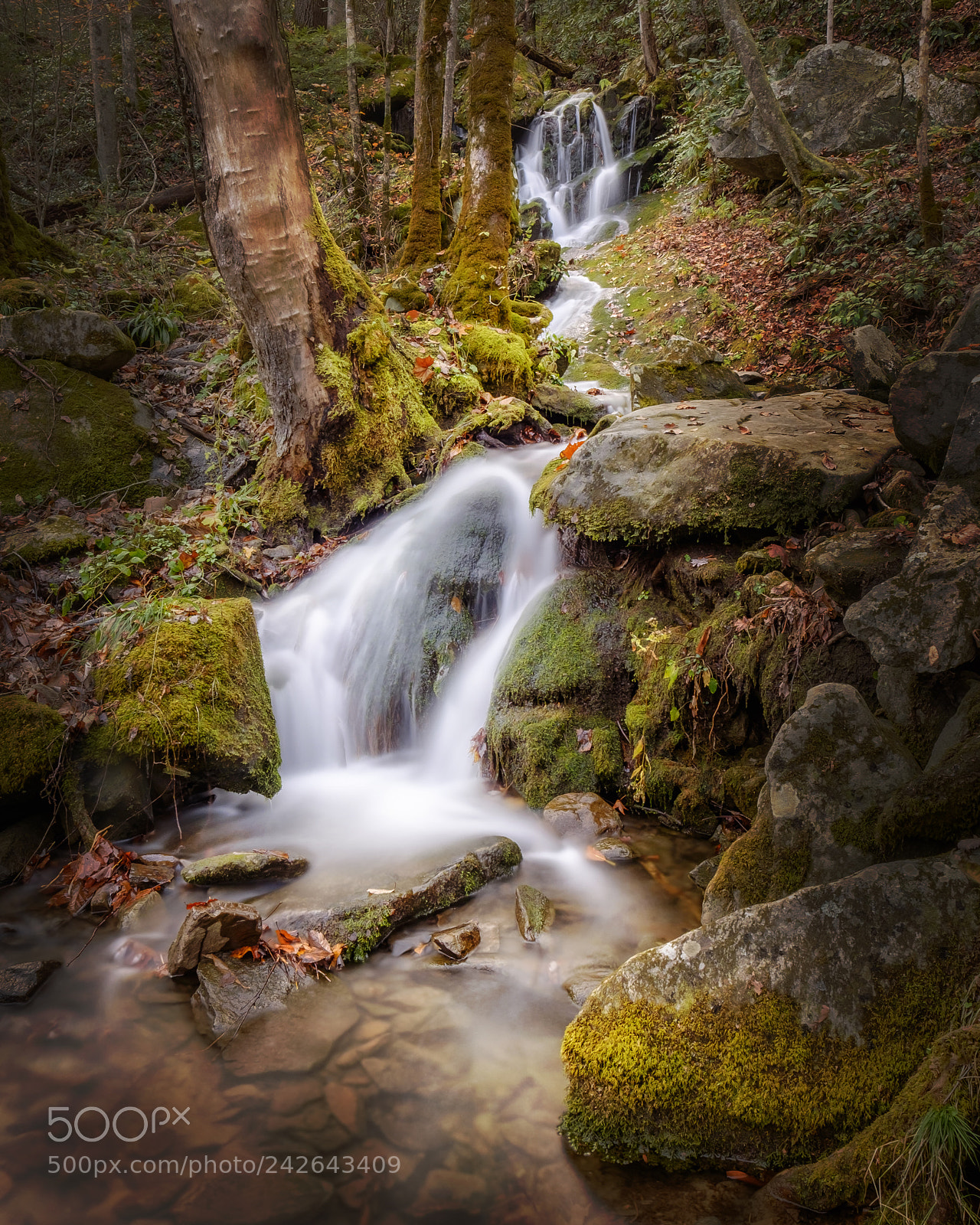 Fujifilm X-T1 sample photo. The falls of loan photography