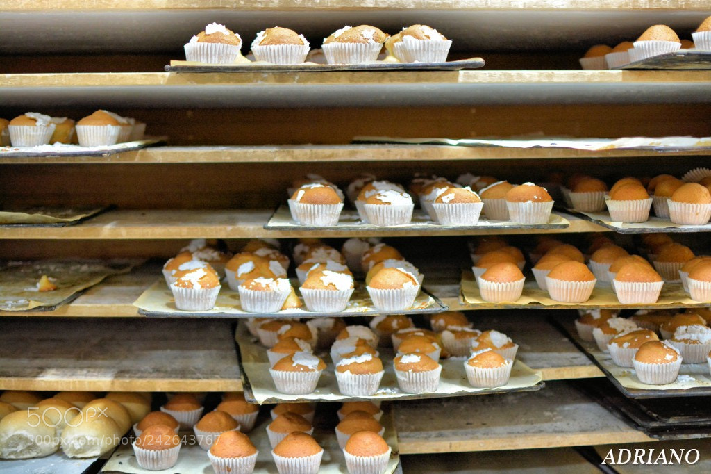 Nikon D7100 sample photo. Mmmmmm photography