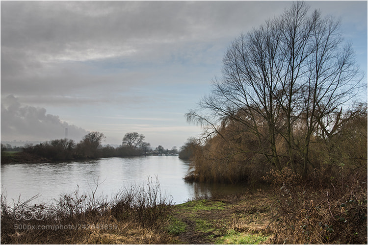 Nikon 1 V1 sample photo. De[] dull morning photography