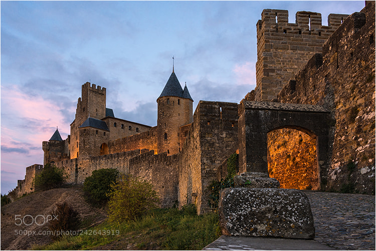 Nikon D800 sample photo. F[] medieval ramparts photography