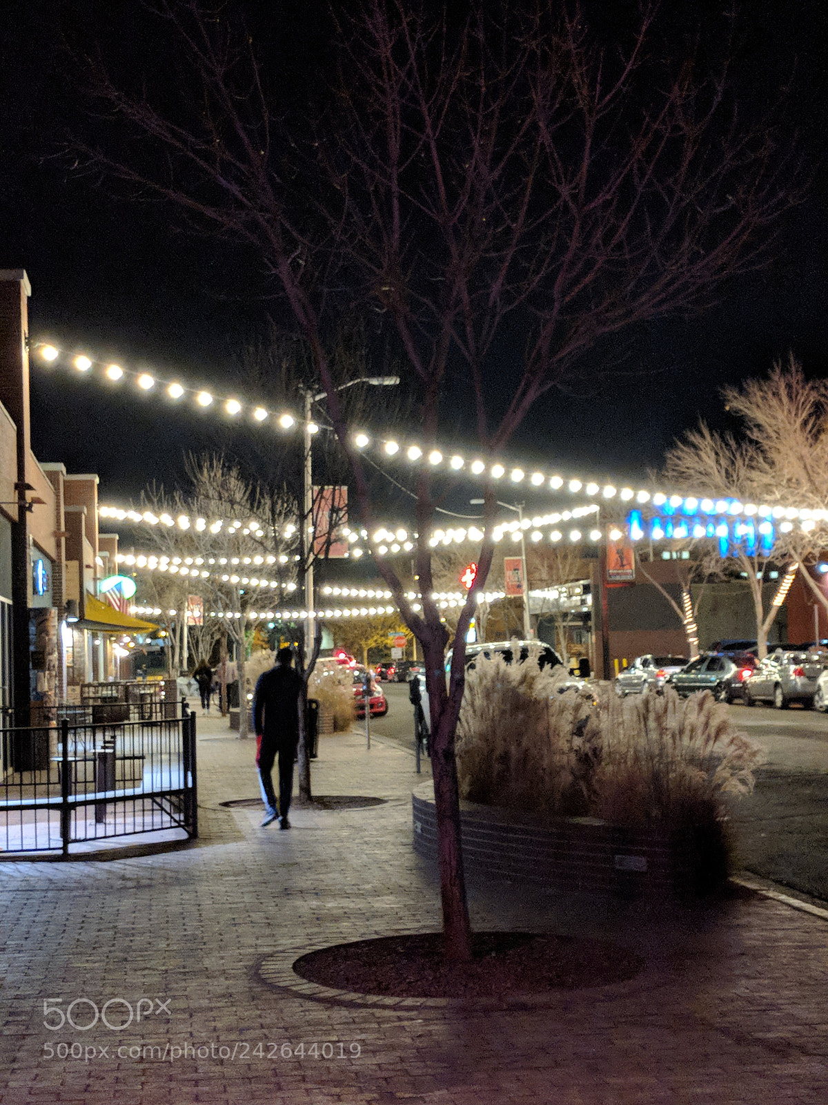 Google Pixel 2 sample photo. Tree photography