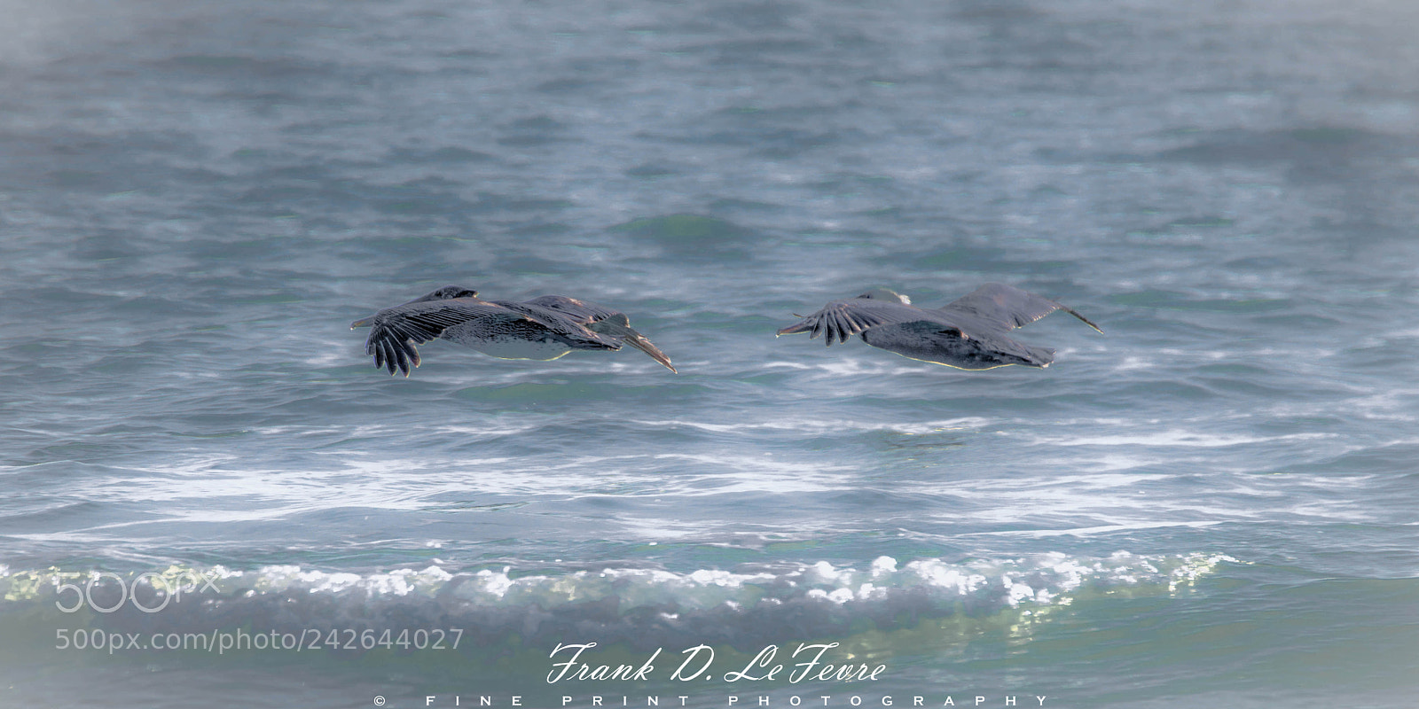 Nikon D3200 sample photo. "stealth bombers" (2018) photography