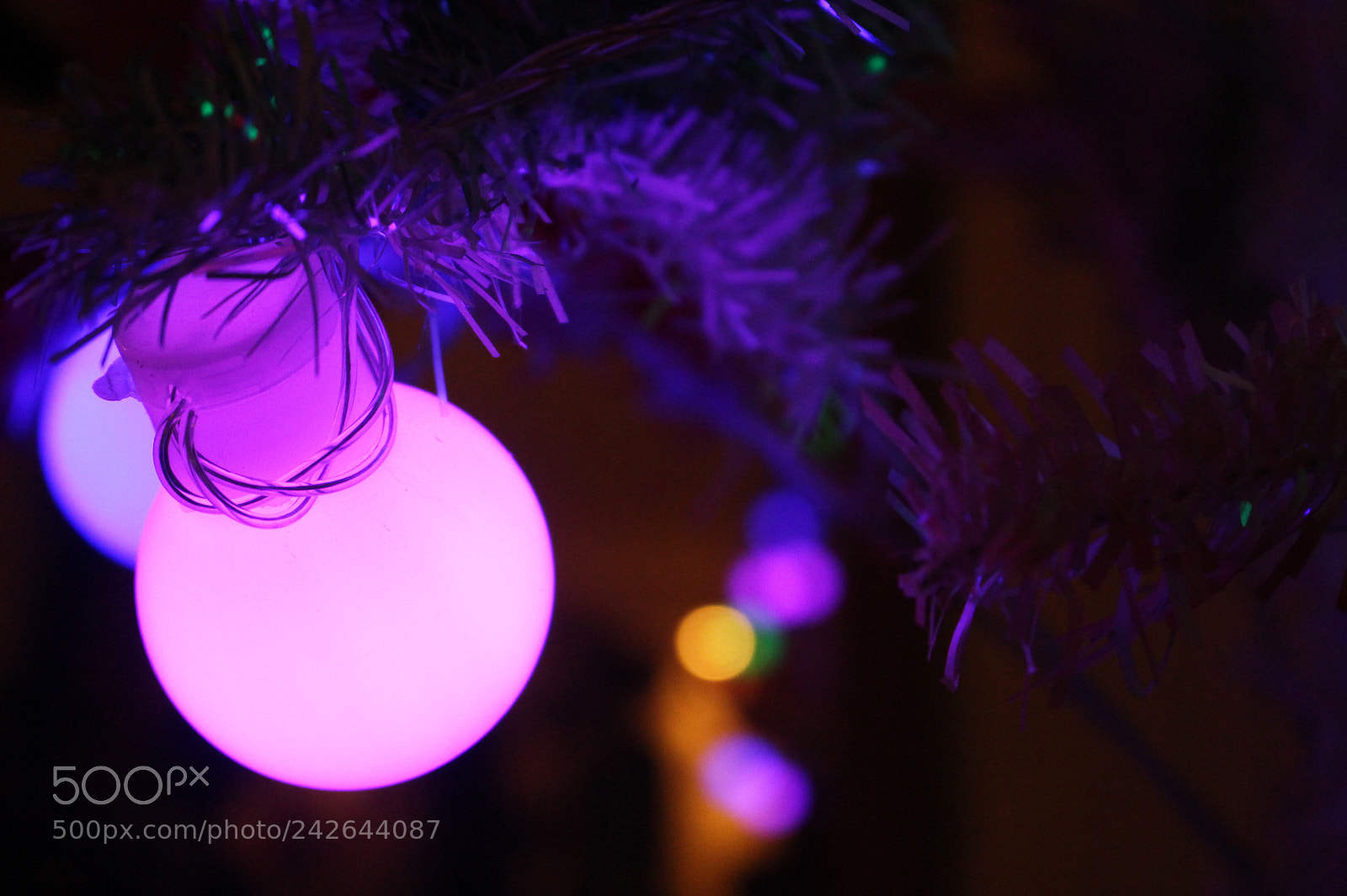 Canon EOS 700D (EOS Rebel T5i / EOS Kiss X7i) sample photo. Lights photography