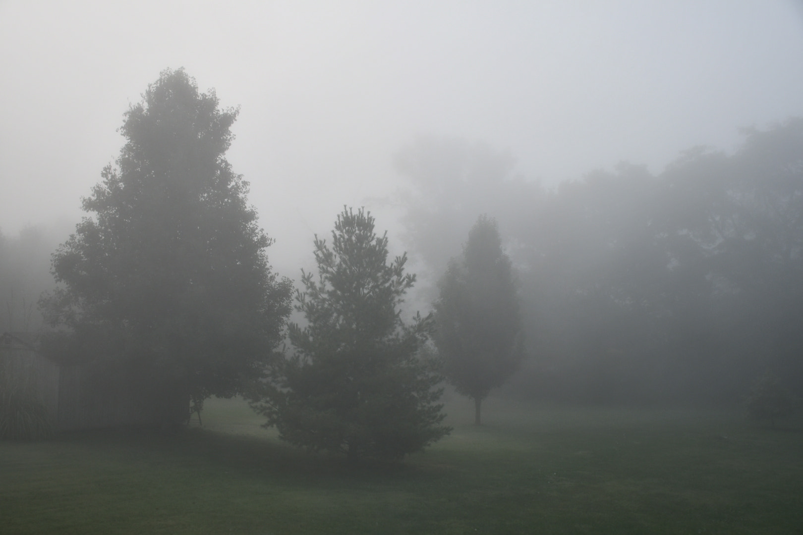 Nikon D7500 sample photo. Misty morning photography