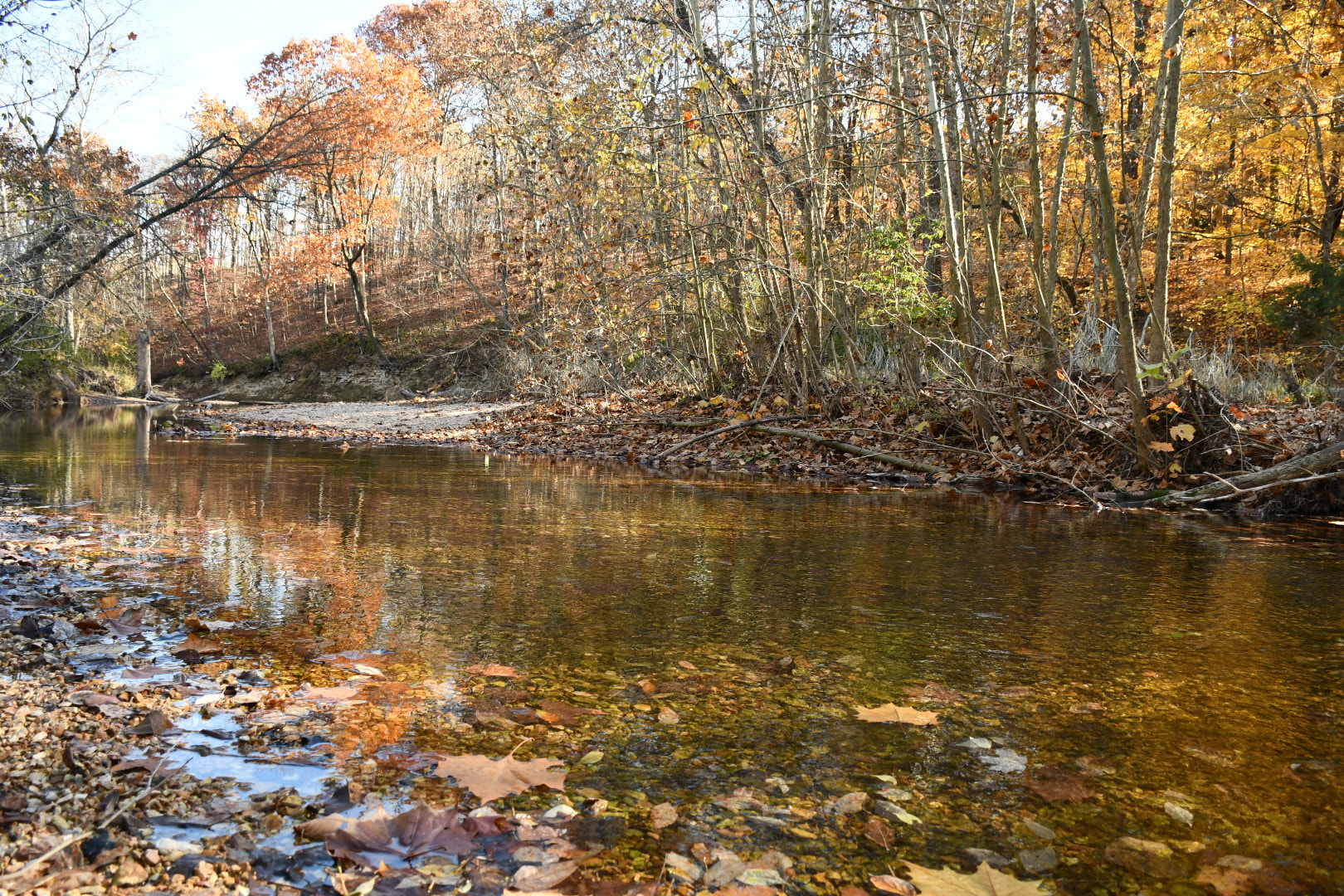 Nikon D7500 sample photo. Rock creek photography