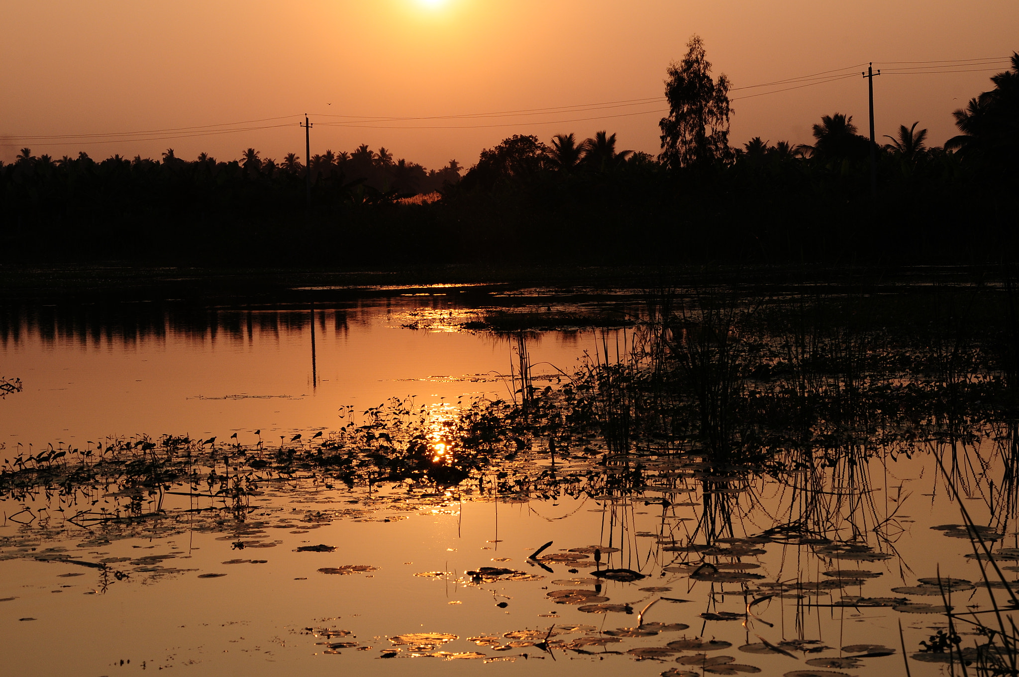 Nikon D300S sample photo