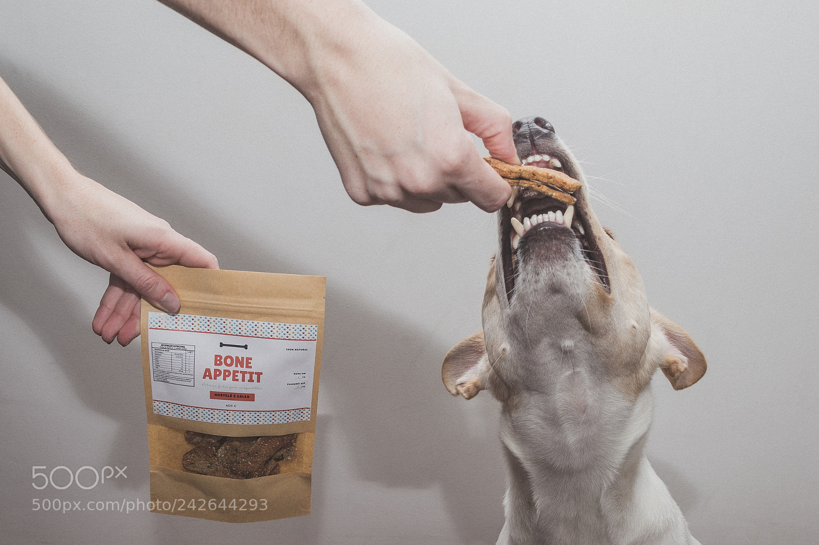 Canon EOS 6D sample photo. Dog getting a treat photography