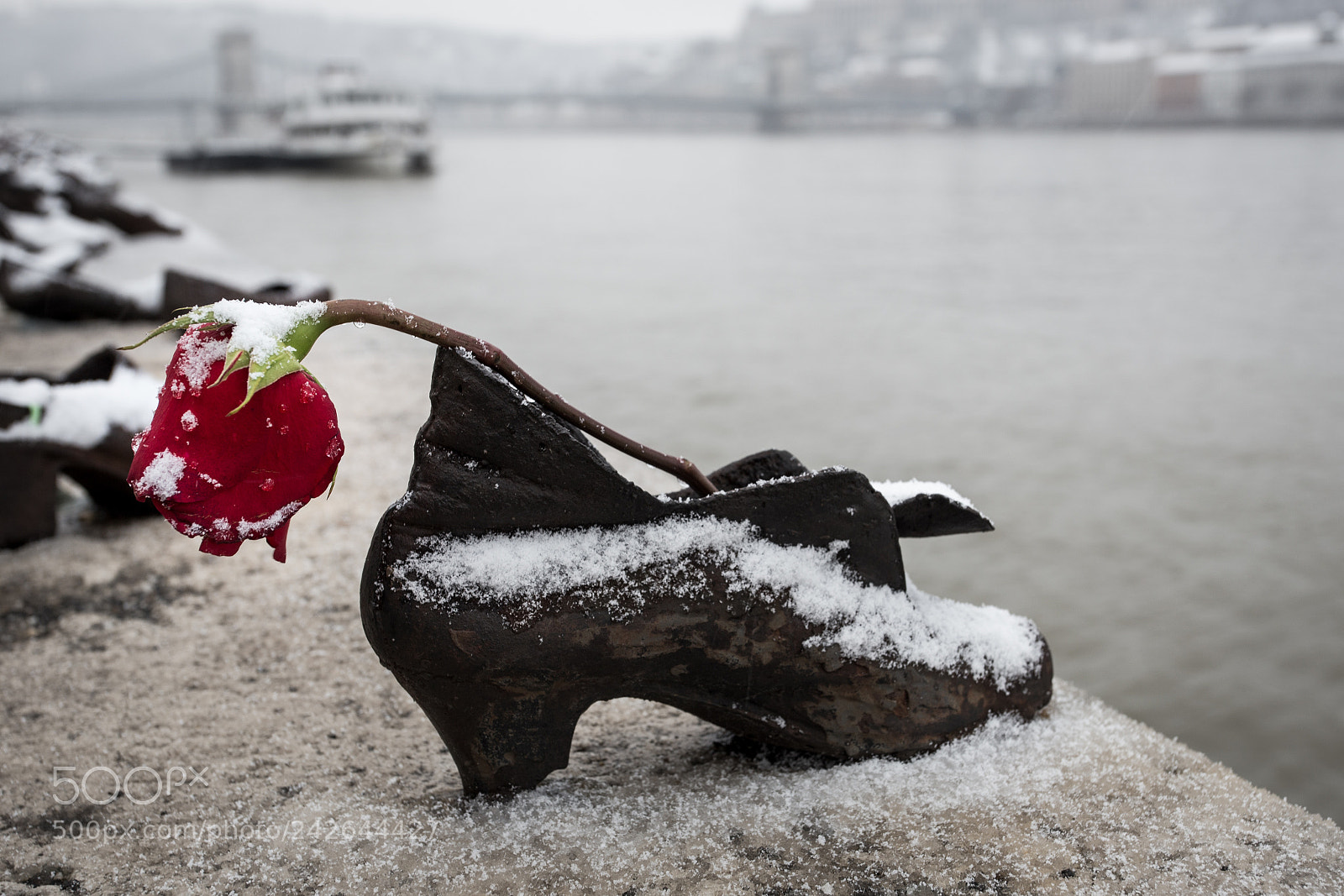 Canon EOS 6D sample photo. Shoes on the danube photography