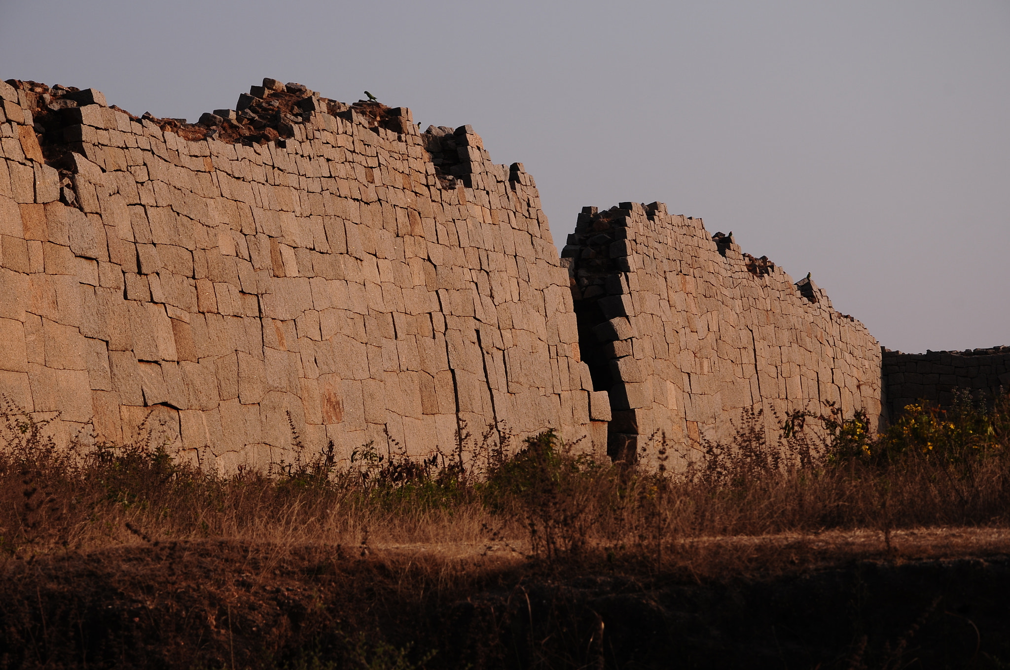 Nikon D300S sample photo