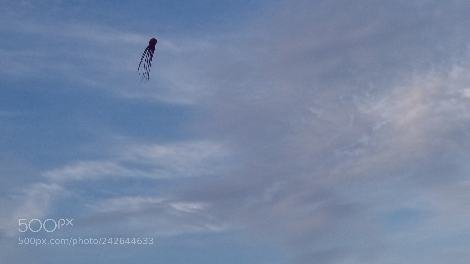 Samsung Galaxy J5 sample photo. Octopus kite photography
