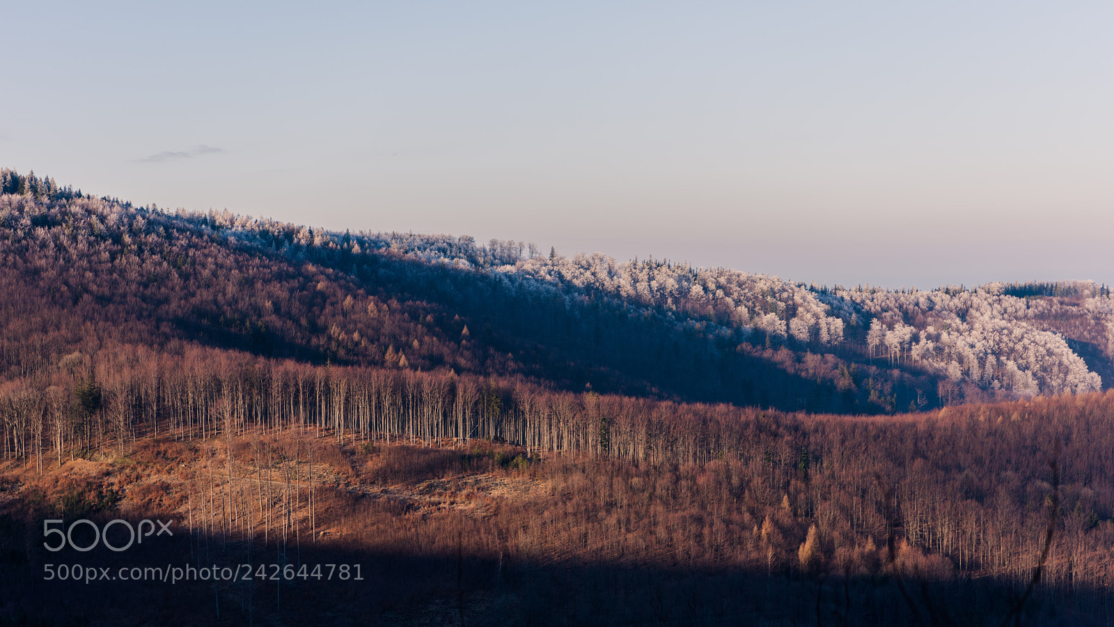 Nikon D810 sample photo. Beskid Śląski #2 photography