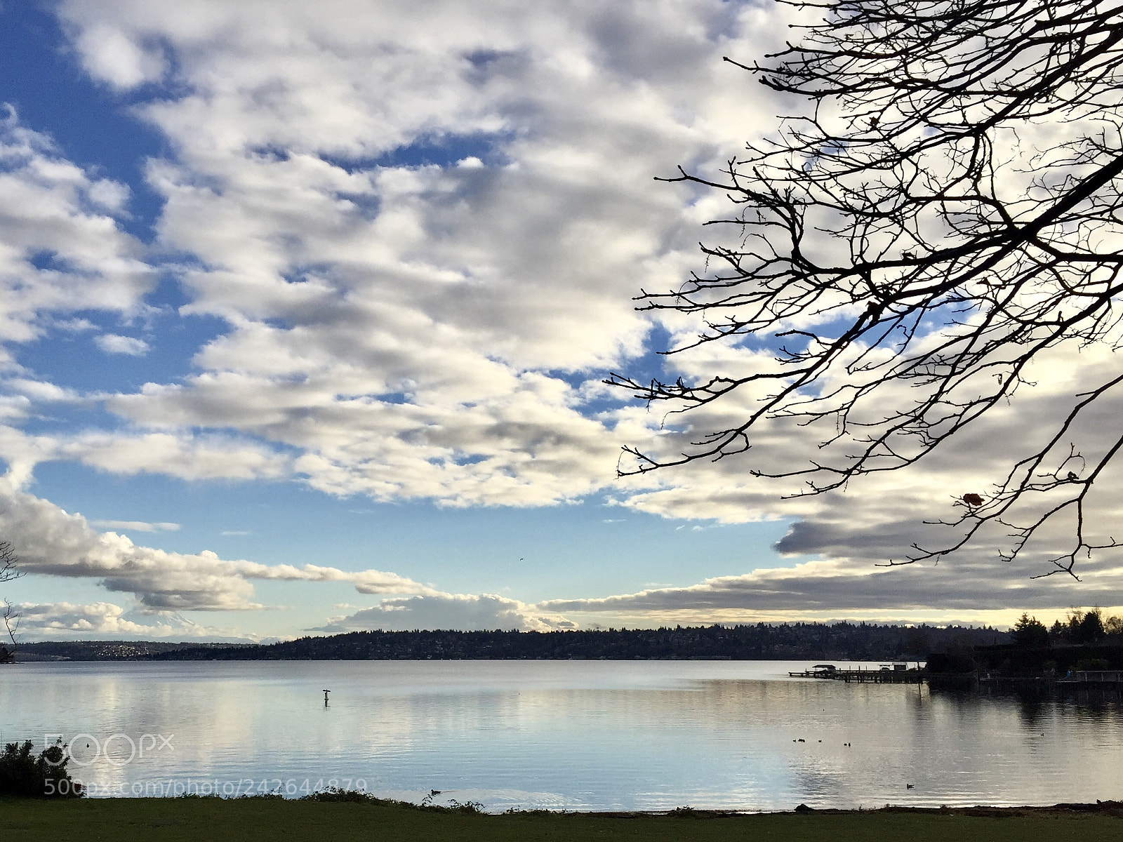 Apple iPhone 6 sample photo. Lake washington photography