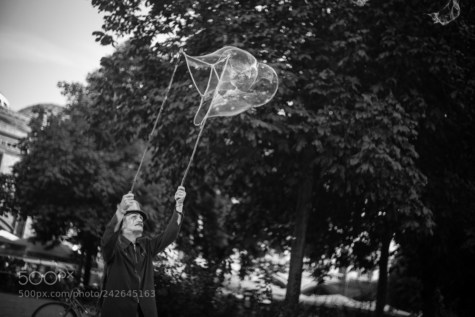 Leica M (Typ 240) sample photo. 35653989524.jpg photography
